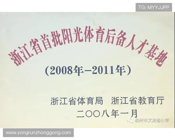 杭州羽毛球队实力分析与赛事表现评估研究报告